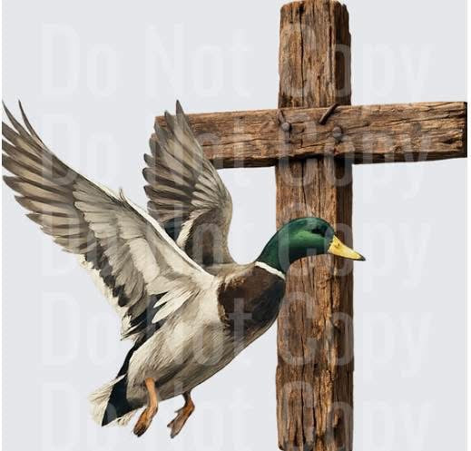 Cross & Duck