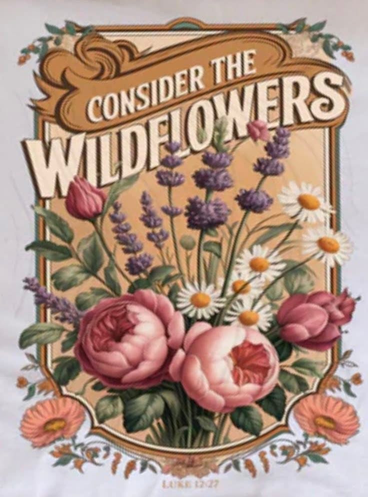 Consider The Wildflowers
