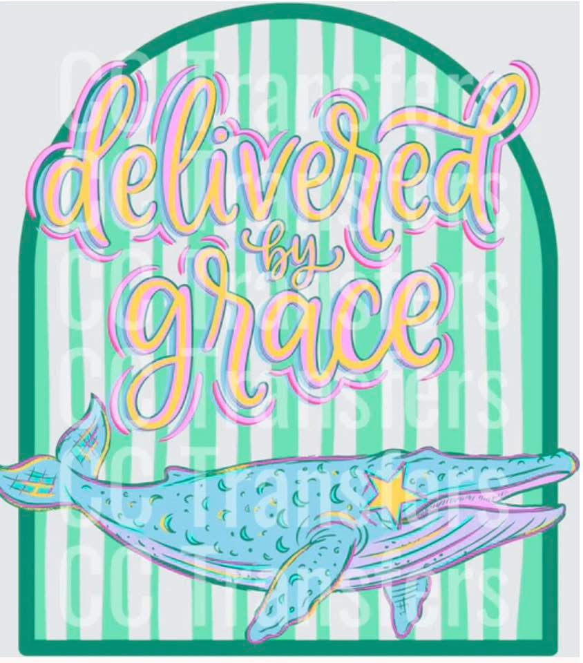 Delivered By Grace: Whale