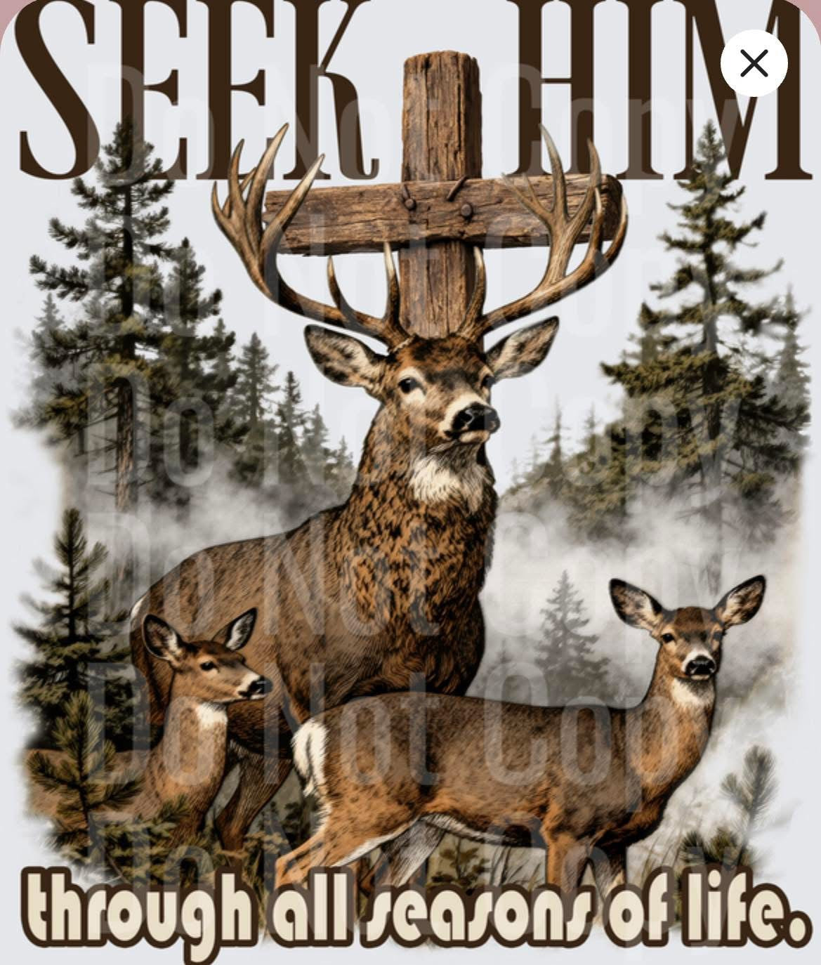 Seek Him Through All Seasons Of Life